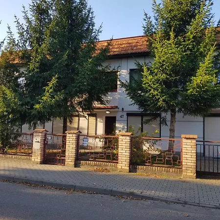 Pod świerkiem